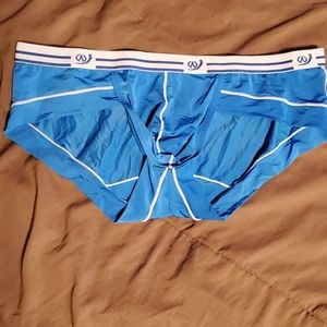 Blue Briefs
